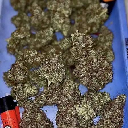 Amnesia Dream