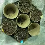 first time ever