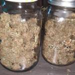 Peanut butter breath 