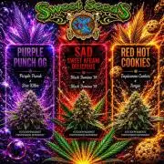 Surtido Sweet Seeds