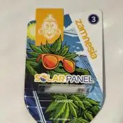 Solar Panel
