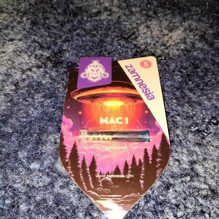 MAC 1