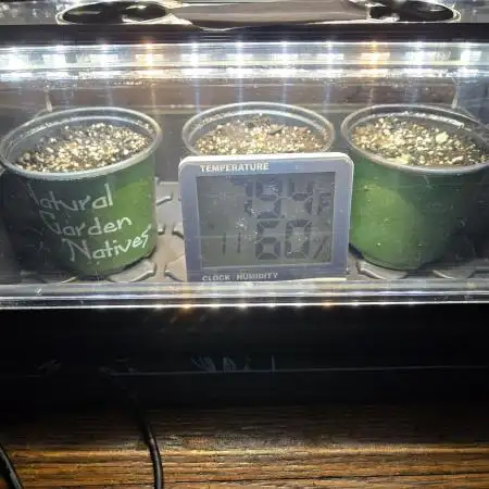 Humboldt seed co Blueberry Muffin