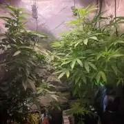 1st grow in over a year