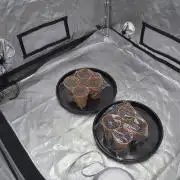 Brisker from Square One