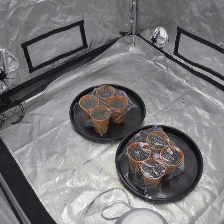 Brisker from Square One