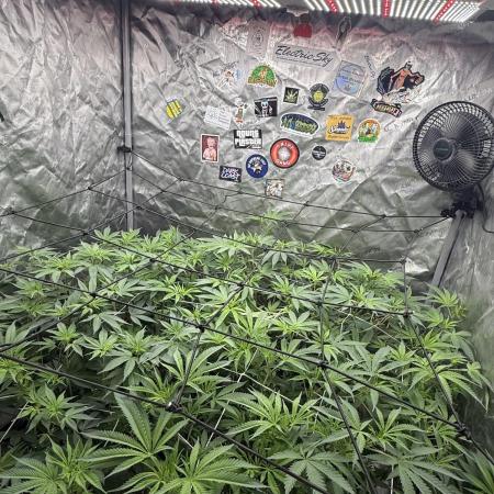 Nana Glue from Square One