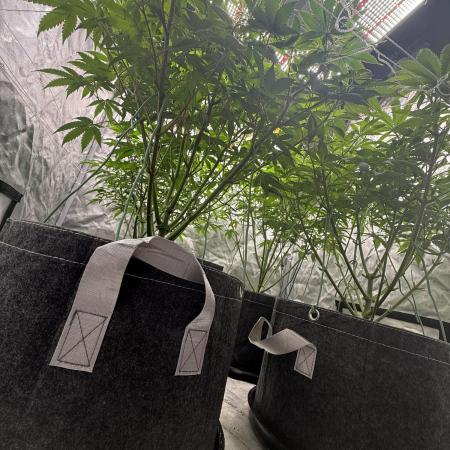 Nana Glue from Square One