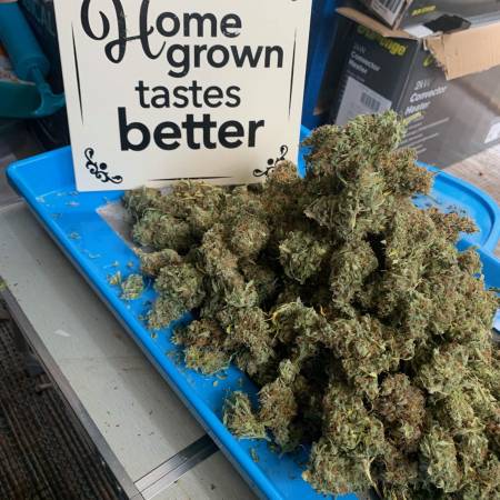 Original Cheese Auto 28/02