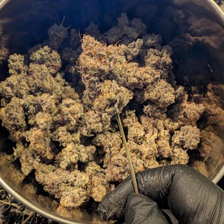 Peanut Butter Breath