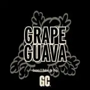 "Grape Guava" C#13