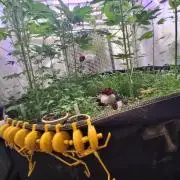 "Permanent Marker" CH#14