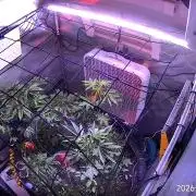 "Permanent Marker" CH#14