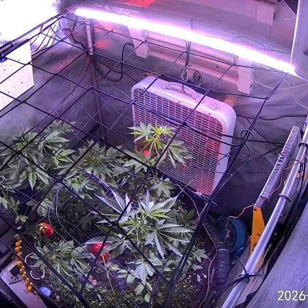 "Permanent Marker" CH#14