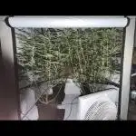 Another one ; 3 strain Run