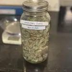 Lemon Cherry Cookies Auto-Fastbuds