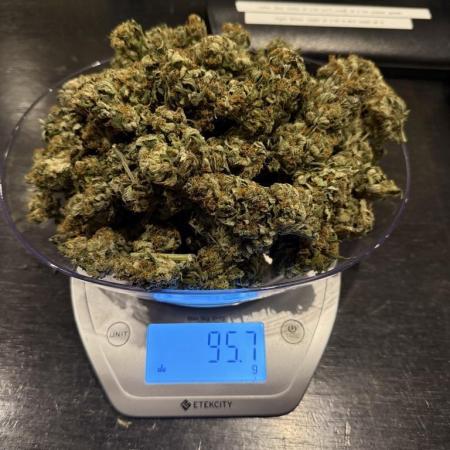 Gorilla Cookies Auto