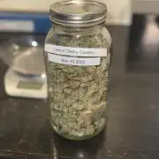 Lemon Cherry Cookies Auto-Fastbuds