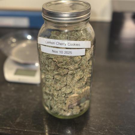 Lemon Cherry Cookies Auto-Fastbuds
