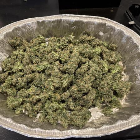 Lemon Cherry Cookies Auto-Fastbuds