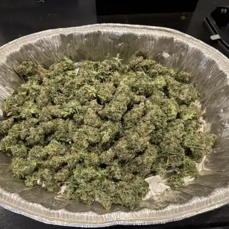 Lemon Cherry Cookies Auto-Fastbuds