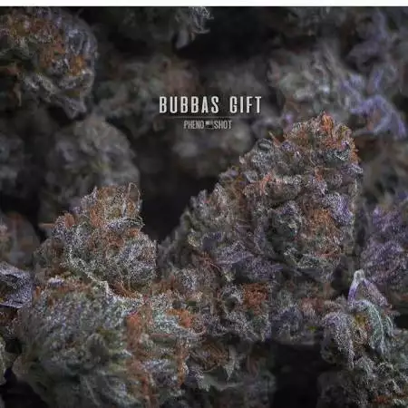 bubbas gift hso