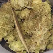 Oreoz USA