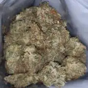 Doctors choice sponsored grow