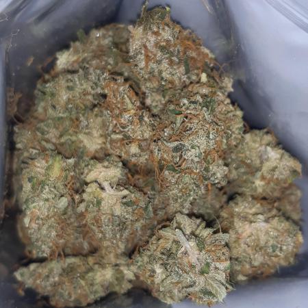 Doctors choice sponsored grow