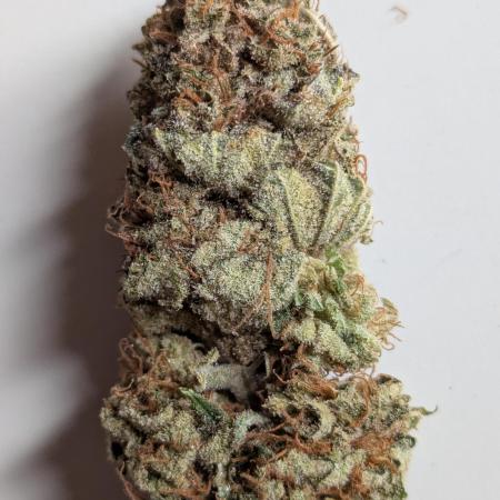 Alien Gorilla OSS