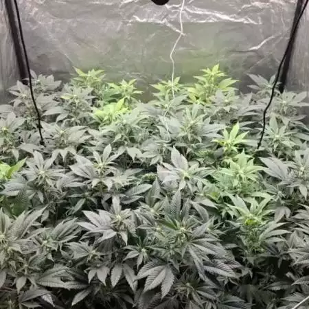 Seguimiento led haduken 1,20x1,20 