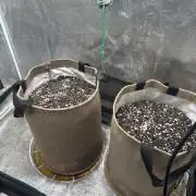 Auto H20 with Co2. Round one