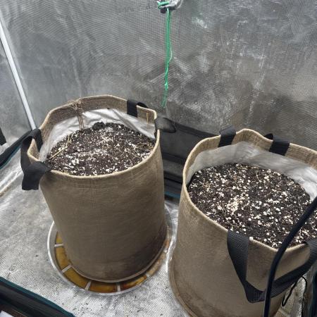 Auto H20 with Co2. Round one