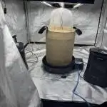 Going Hard In The Pot