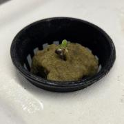 SKUNK #1 AUTOMAATIC