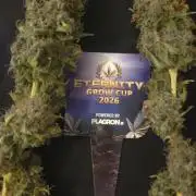 STICKY BROCCOLI 🥦 PLAGRON