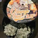 🍊range Bud 2.0