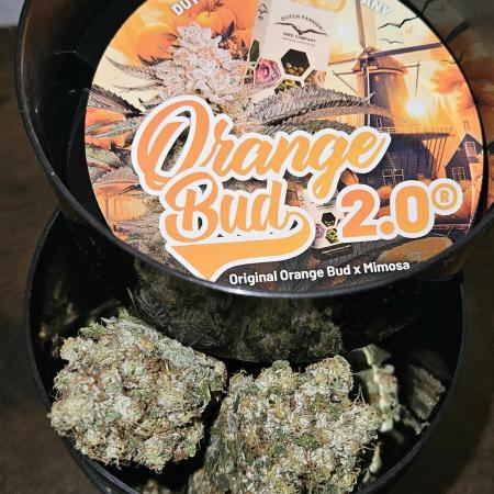 🍊range Bud 2.0