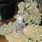 🍌Strawnana Sundae/ Again