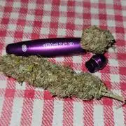 Strawberry Cola Sherbet+Fat Bastard