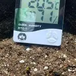 Purple Punch Auto - 1ST TIME