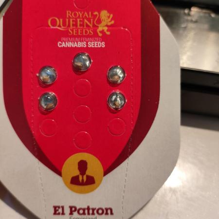 The popular El Patron !