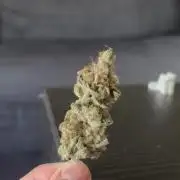 Zombie Death Fuck but better this time