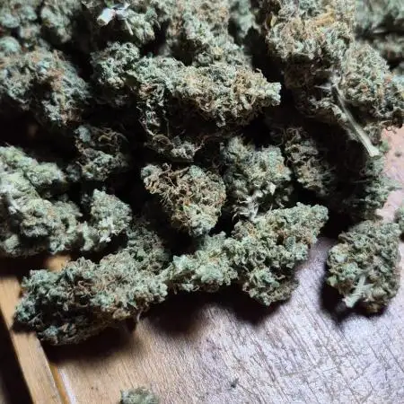 Auto Orange Bud