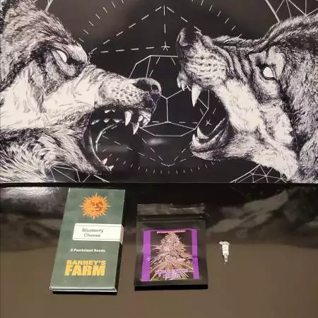 First Grow "Photo's"