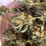 BAG See -AZ Brand Made -Sherbana Cabana