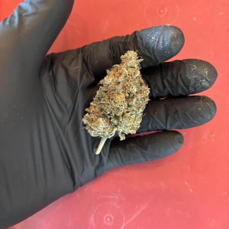 XXX #20 x End Game #5  - 08-2025