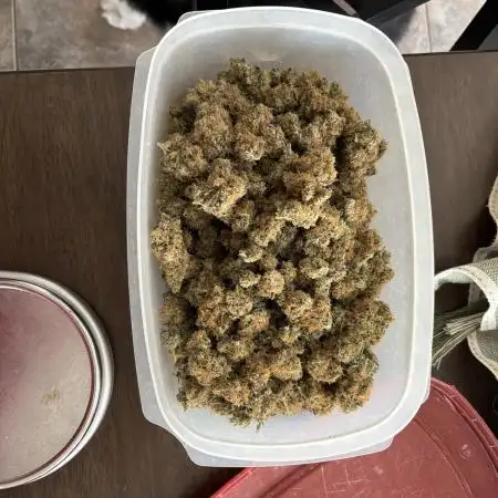 Irie_Candylicous photo 05-2025