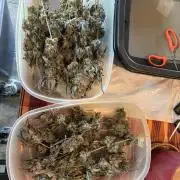 XXX #20 x End Game #5  - 08-2025