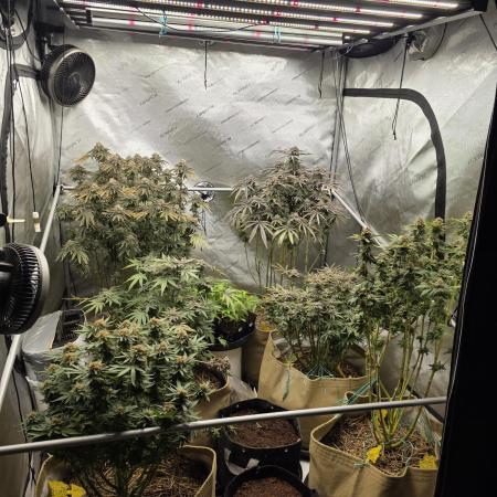 5 x 5 Jan 2026